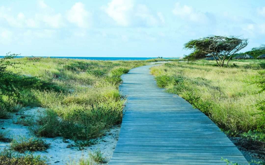 Beach board walk