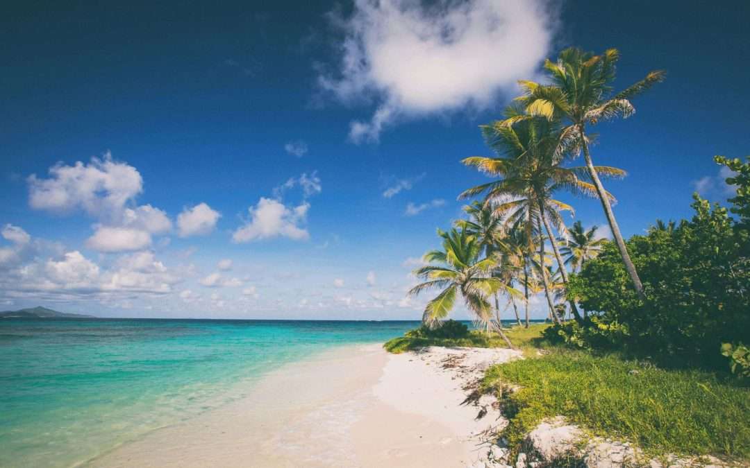 Palm trees on ocean with island in the distance