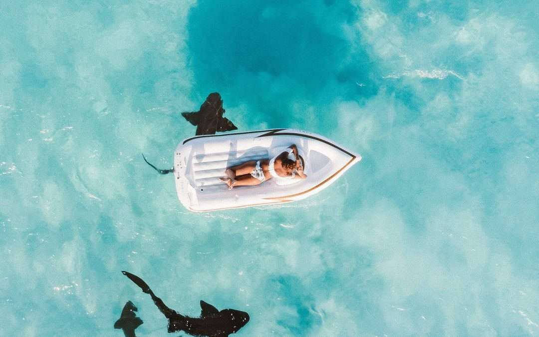 Person floating on ocean above sharks