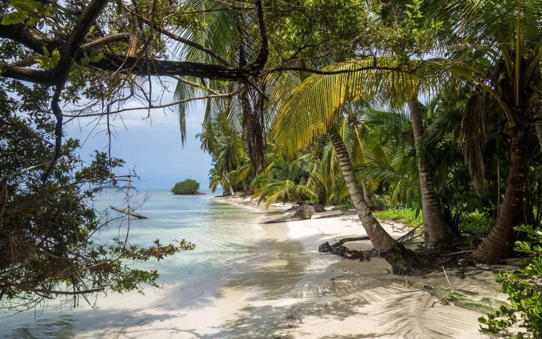 Sandy beach near jungle