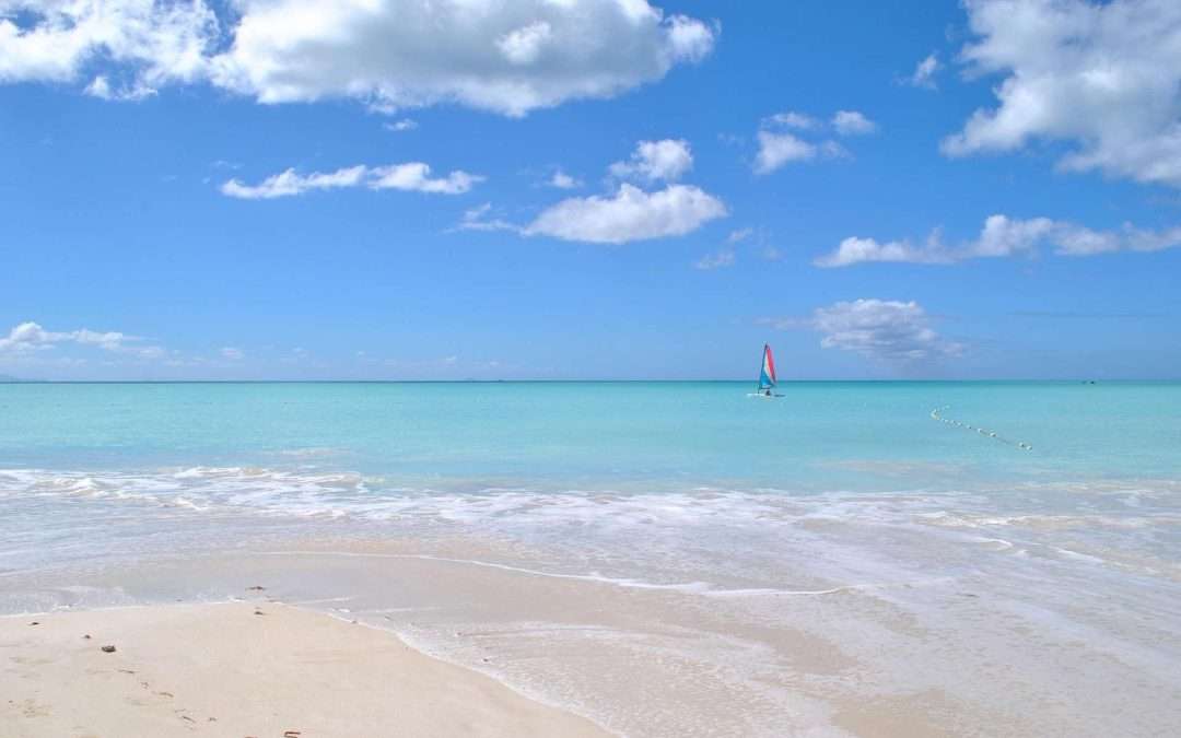 Single-sail-boat