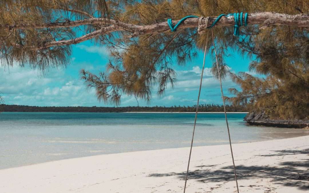 Swing from tree on ocean scaled 1