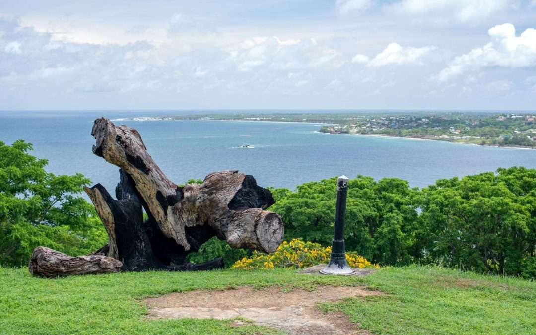coastal view driftwood scenic overlook