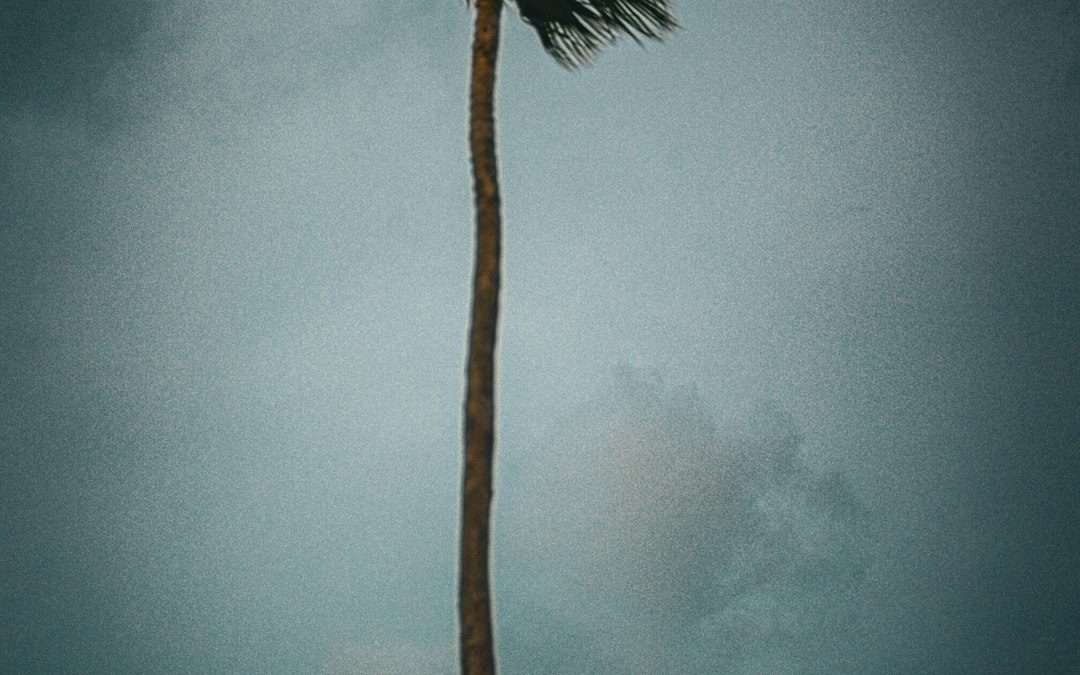 caribbean-hurricane-season